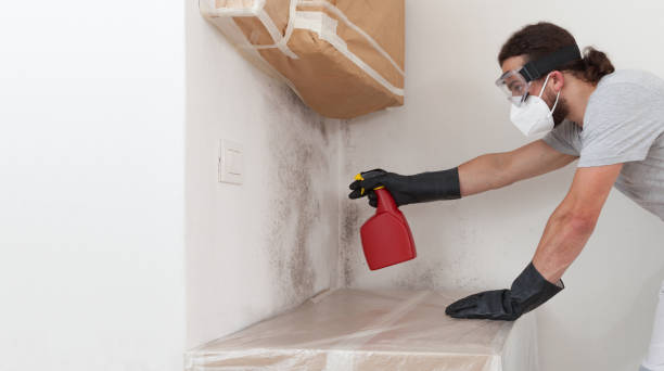 Attic Mold Remediation treatment on roof deck in Highland Park
